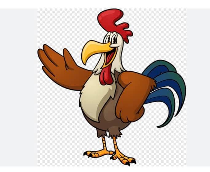 🐓 الديك اليهودي 🐓